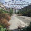RENTA Local Naucalpan 1,449.47m2